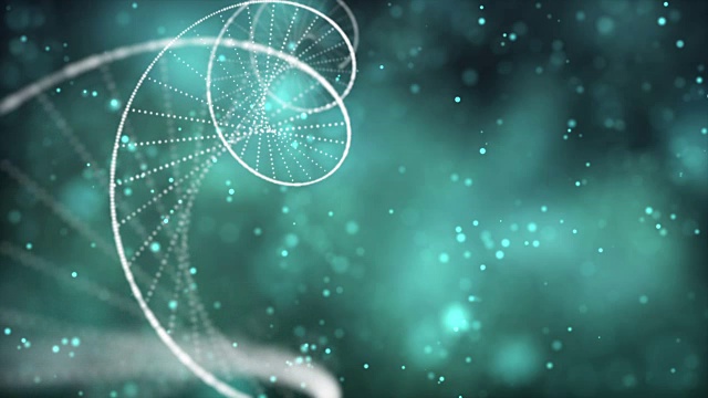 Dna分子和染色体是双螺旋的