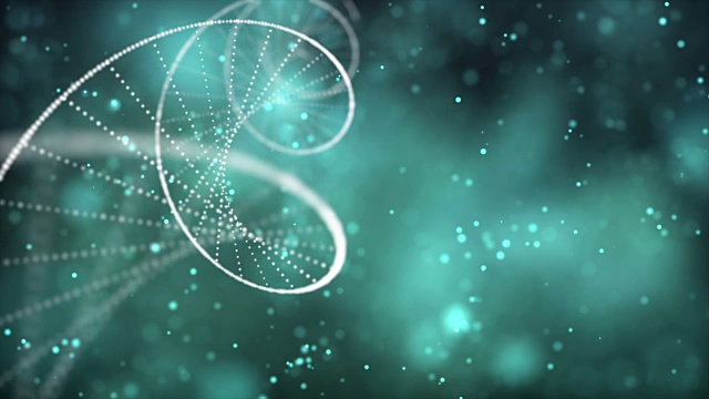 详情图-Dna分子和染色体是双螺旋的