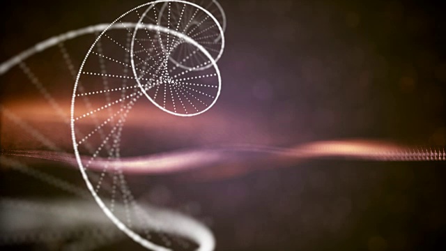 Dna分子和染色體是雙螺旋的