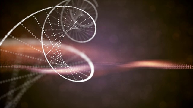 詳情圖-Dna分子和染色體是雙螺旋的