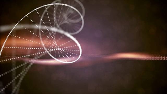 詳情圖-Dna分子和染色體是雙螺旋的