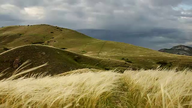 羽毛草中的山，乌云中的地平线