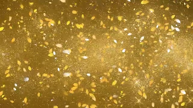 樱花花瓣