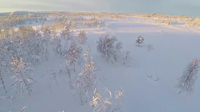 飞过白雪覆盖的群山平原