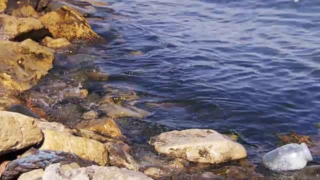 垃圾漂浮在里海巴库堤岸附近的石头上