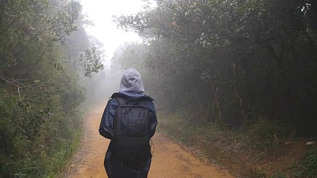 徒步女子背包行走在热带潮湿的森林。年轻的女孩在旅行中穿着雨衣在森林小径上。跟随女游客踩在丛林小径。慢镜头后视图