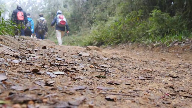沿着森林小径行走的一群多种族的徒步旅行者。旅游者背着背包在山间的小路上徒步穿越树林。低视角特写