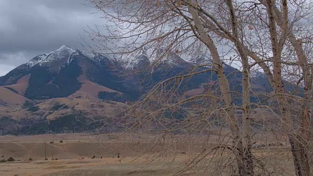 在美国蒙大拿州，裸露的树冠揭示了风景优美的乡村和岩石山脉