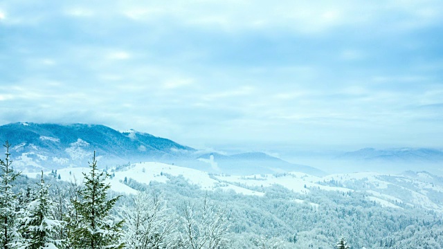 美丽的冬天的风景