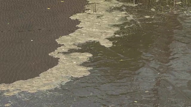 泡沫泡沫的海浪爬行到红树林的地面上
