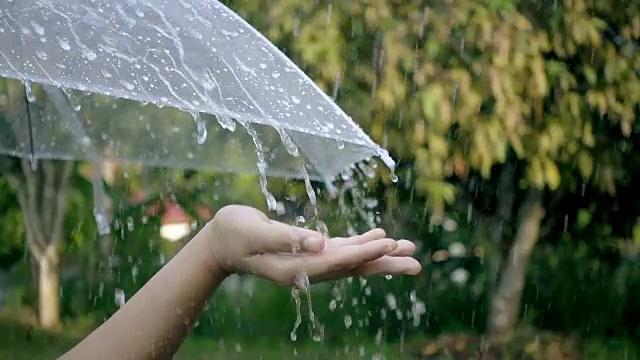 特写的女士的手触摸雨滴与伞