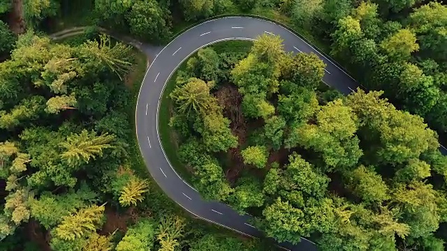穿过森林的路