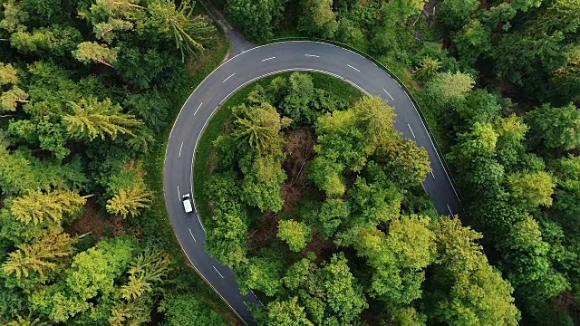 穿过森林的路