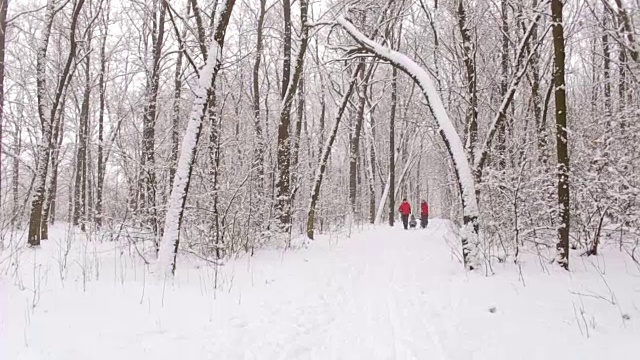 妈妈和爸爸拉着两个孩子上雪橇。