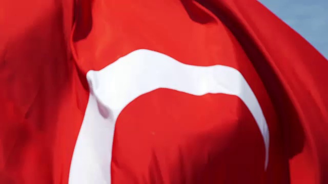 海鸥飞近镜头和土耳其国旗