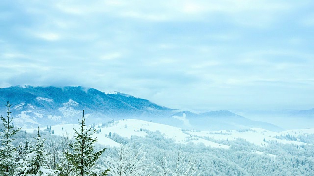 美丽的冬天的风景