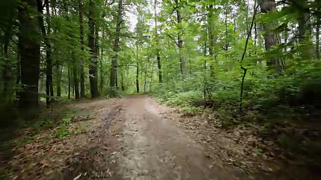 在森林道路上骑自行车的人的稳定凸轮视图