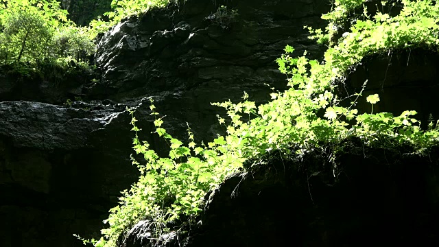 布雷塔克拉姆，峡谷，侵蚀，对比，植物生长，多样性，Allgäu，巴伐利亚，旅游，自然奇迹，4K