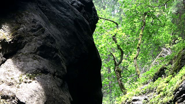 布雷塔克拉姆，峡谷，侵蚀，对比，植物生长，多样性，Allgäu，巴伐利亚，旅游，自然奇迹，4K