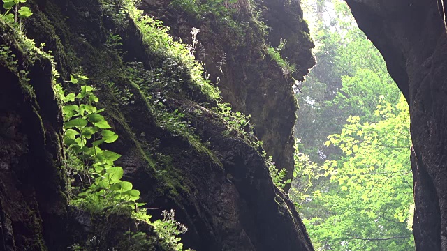 布雷塔克拉姆，峡谷，侵蚀，对比，植物生长，多样性，Allgäu，巴伐利亚，旅游，自然奇迹，4K