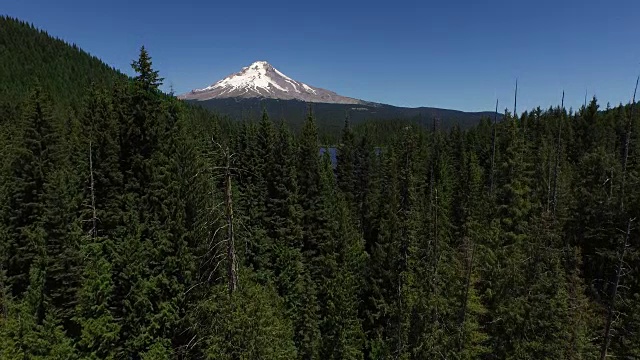 美国俄勒冈州的延龄湖和胡德山的航拍照片