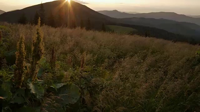 日落时沿着山上的草地平稳移动