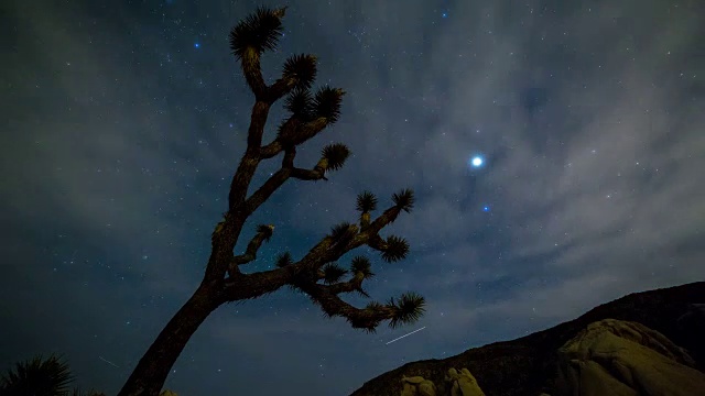 恒星和行星(木星)与约书亚树时光流逝