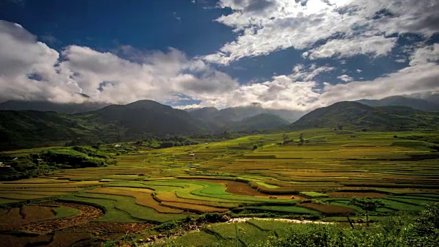 稻谷场在木仓茶-越南战后