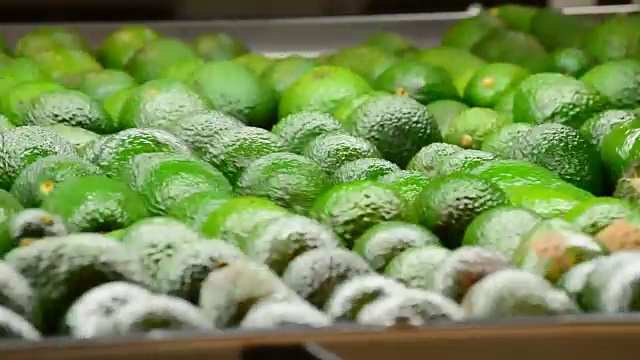 牛油果片水果卷包装线