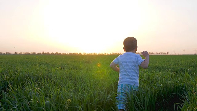 快乐的孩子跑进绿色的田野，快乐的孩子在夕阳下跳进草地，可爱的孩子在户外慢镜头玩耍