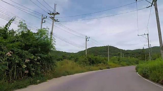 雨季的菠萝田，泰国