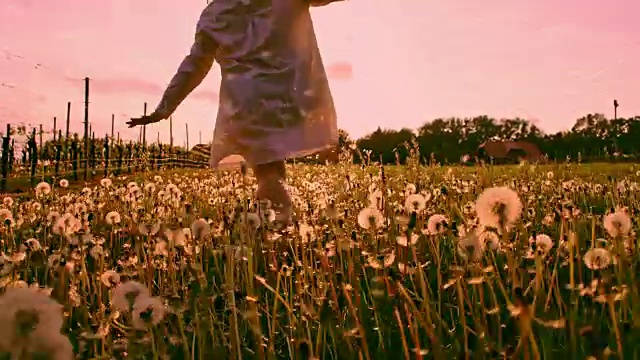 SLO MO LA TS女孩在夕阳下的蒲公英中张开双臂奔跑