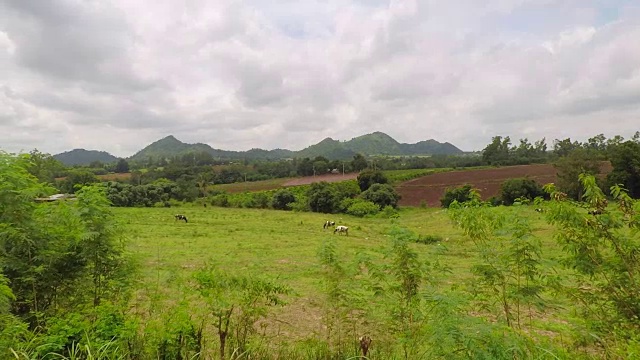 美丽的绿色草地在山上的背景