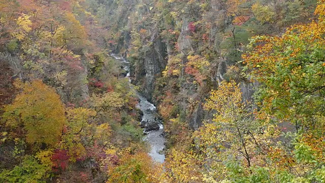 日本鸣子峡谷的秋色和漂亮的蓝色和云彩背景