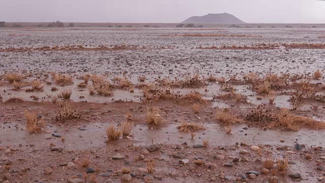 纳米布沙漠中一场罕见的暴风雨