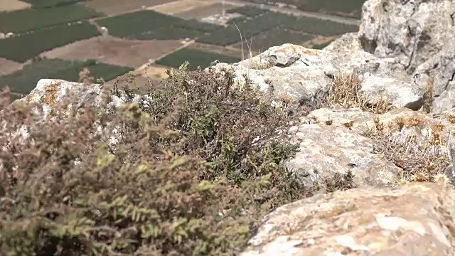 布什紧贴在以色列的阿贝尔山的悬崖边