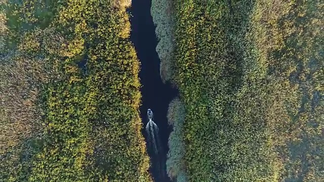 高空鸟瞰一艘游船沿着奥卡万戈三角洲的水道航行
