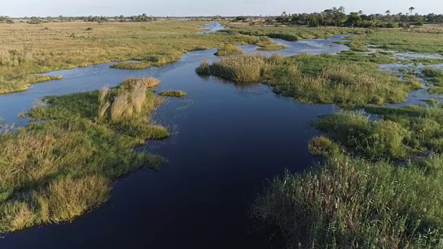 奥卡万戈三角洲的水道和泻湖的近距离鸟瞰图