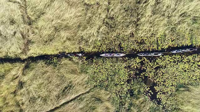 沿着奥卡万戈三角洲的水道，直接向下鸟瞰图的游客出发前往莫科洛狩猎之旅