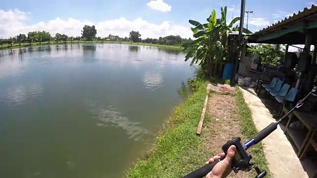 在泰国投面包诱饵钓鲶鱼。