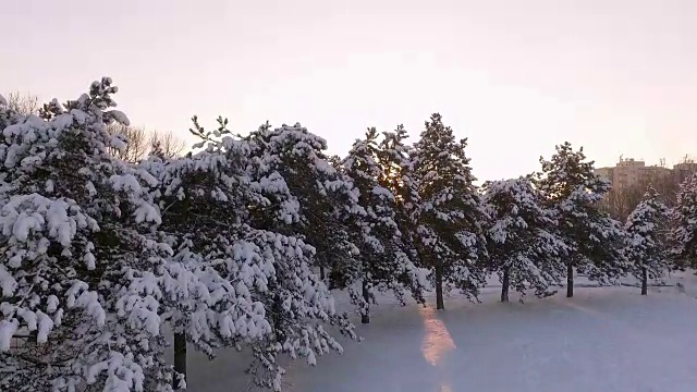 夕阳下的城市公园覆盖着雪