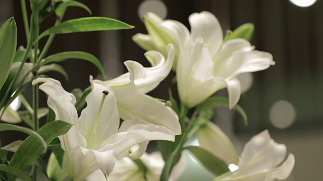 百合花束