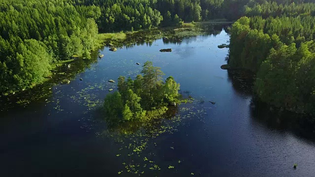 荒岛
