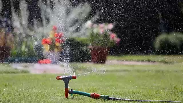 花园洒水器浇草和花