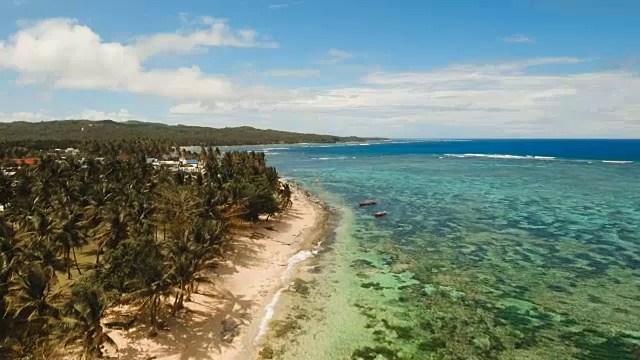 詳情圖-鳥瞰熱帶島嶼上美麗的海灘。菲律賓,Siargao
