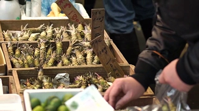 筑地鱼市卖的新鲜芥末。日本寿司手握寿司的主要食材