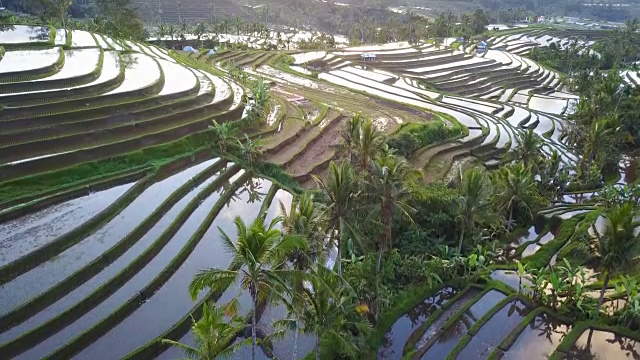 详情图-航拍Jatiluwih梯田上令人惊叹的景观稻田。