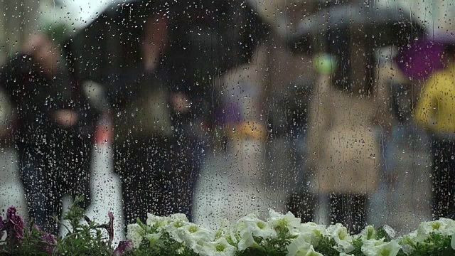 美丽的背景与透过窗户的风景与白花在雨天的城市街道。雨滴落在窗玻璃上。模糊的散景。自然背景