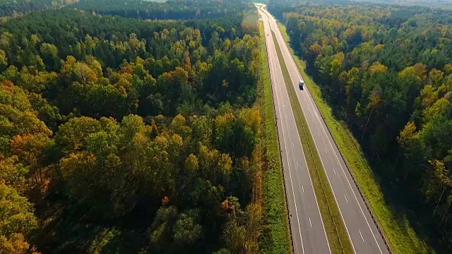 詳情圖-秋天森林里的鄉(xiāng)間小路。公路森林空中景觀