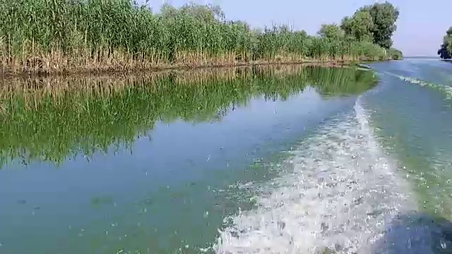 行驶在多瑙河三角洲水道上的摩托艇